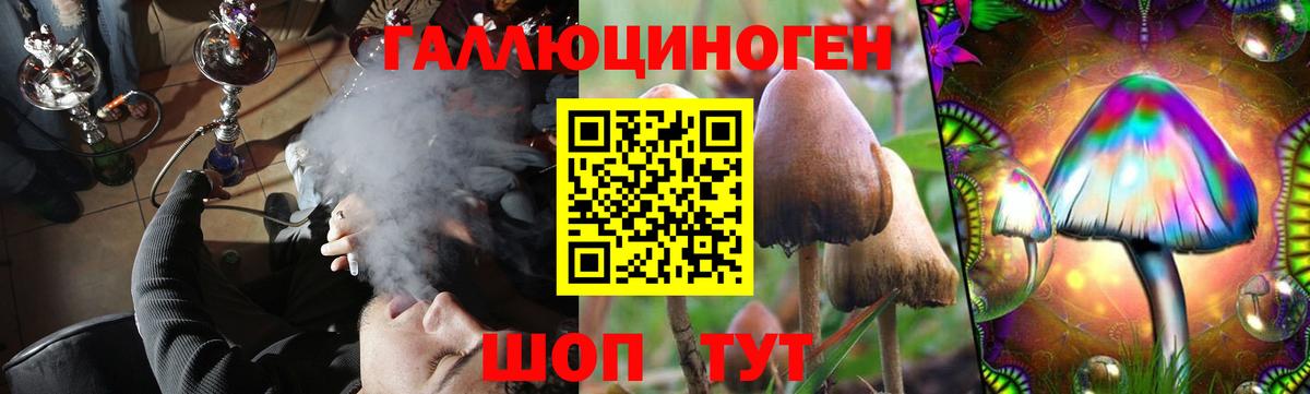 Псилоцибиновые грибы Psilocybine cubensis  Псилоцибиновые грибы MAGIC MUSHROOMS  Вход с VPN  Шадринск 